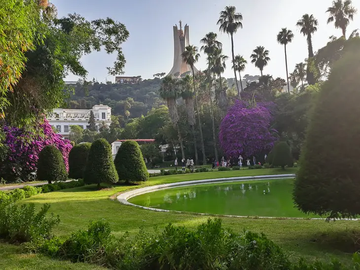 Remote work in Algiers