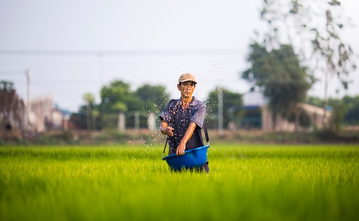 Remote work in Bien Hoa