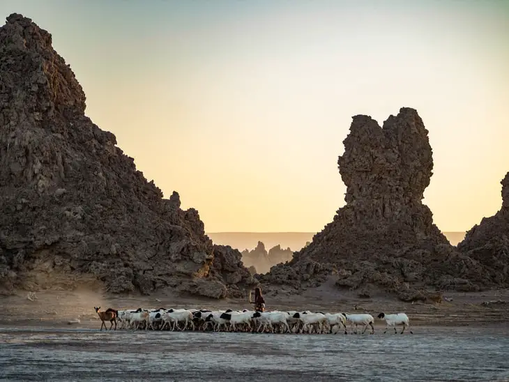 Remote work in Djibouti