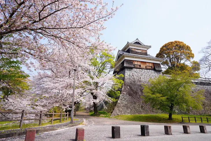 Working remotely in Kumamoto