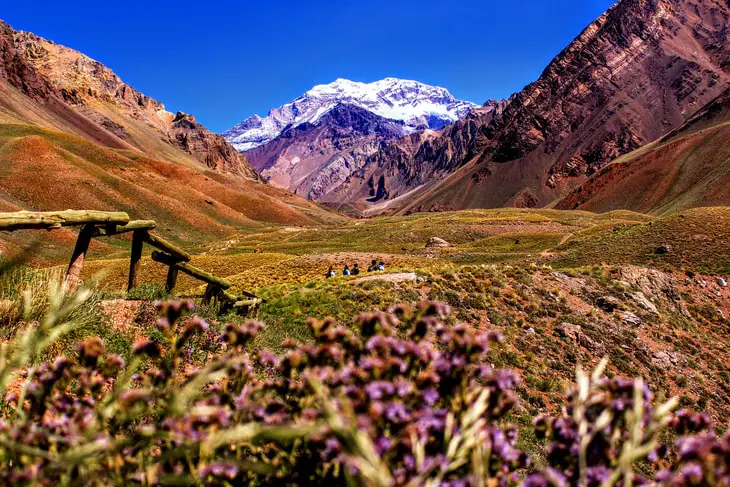 Remote work in Mendoza