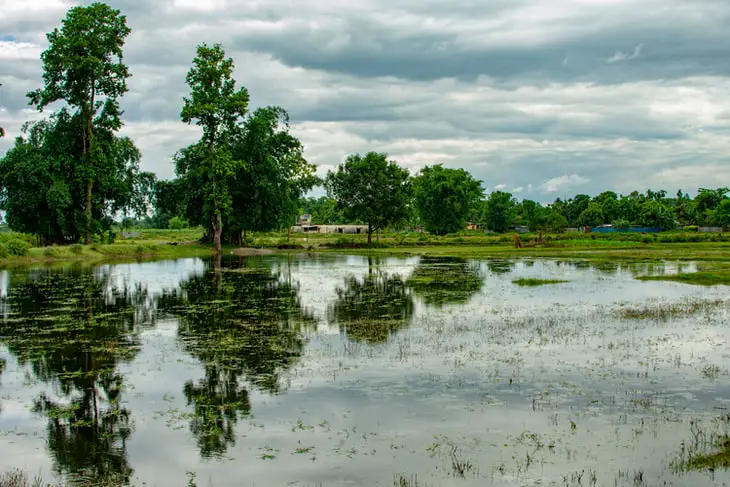 Remote work in Siliguri