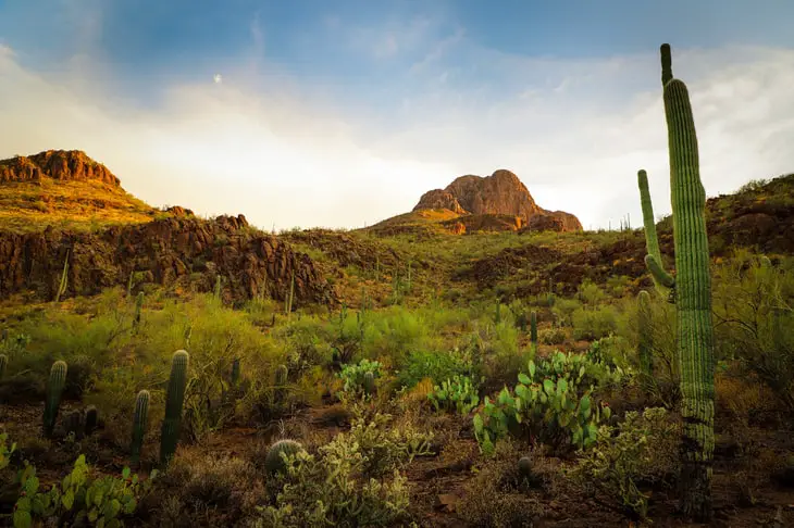 Working remotely in Tucson