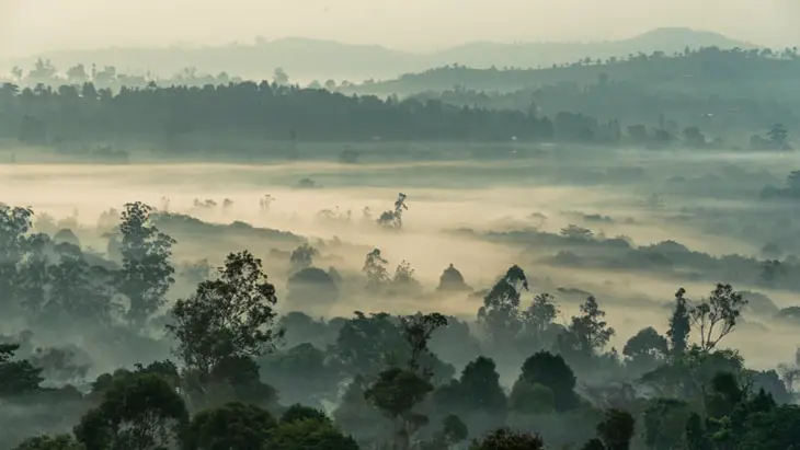 Remote work in Cameroon