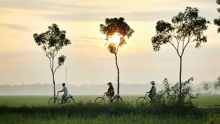 Remote work in Indonesia