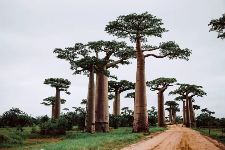 Working remotely in Madagascar