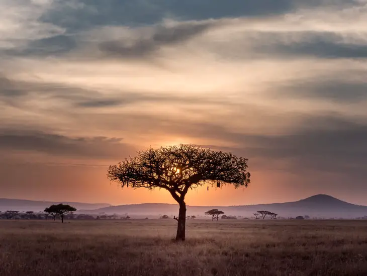 Trabajar a distancia en Tanzania