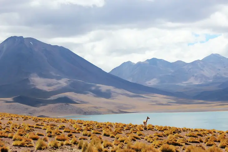 Digital nomads en Chile - Guía de viaje