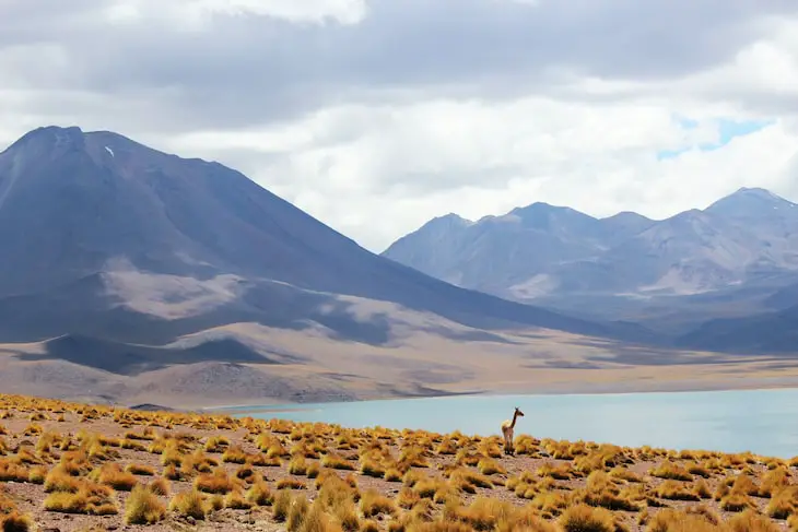 Nômades digitais no Chile - Guia de viagem