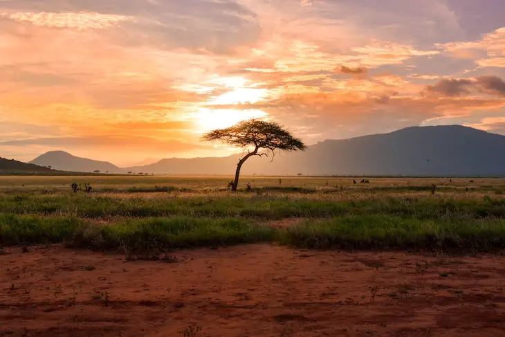 Guide du nomade numérique en Afrique du Sud