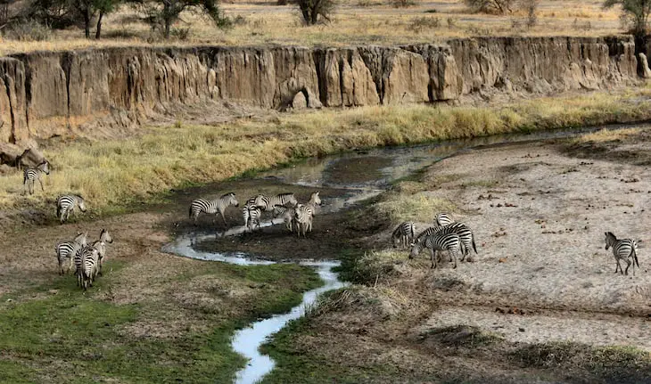 Tanzania para digital nomads - Guía y consejos