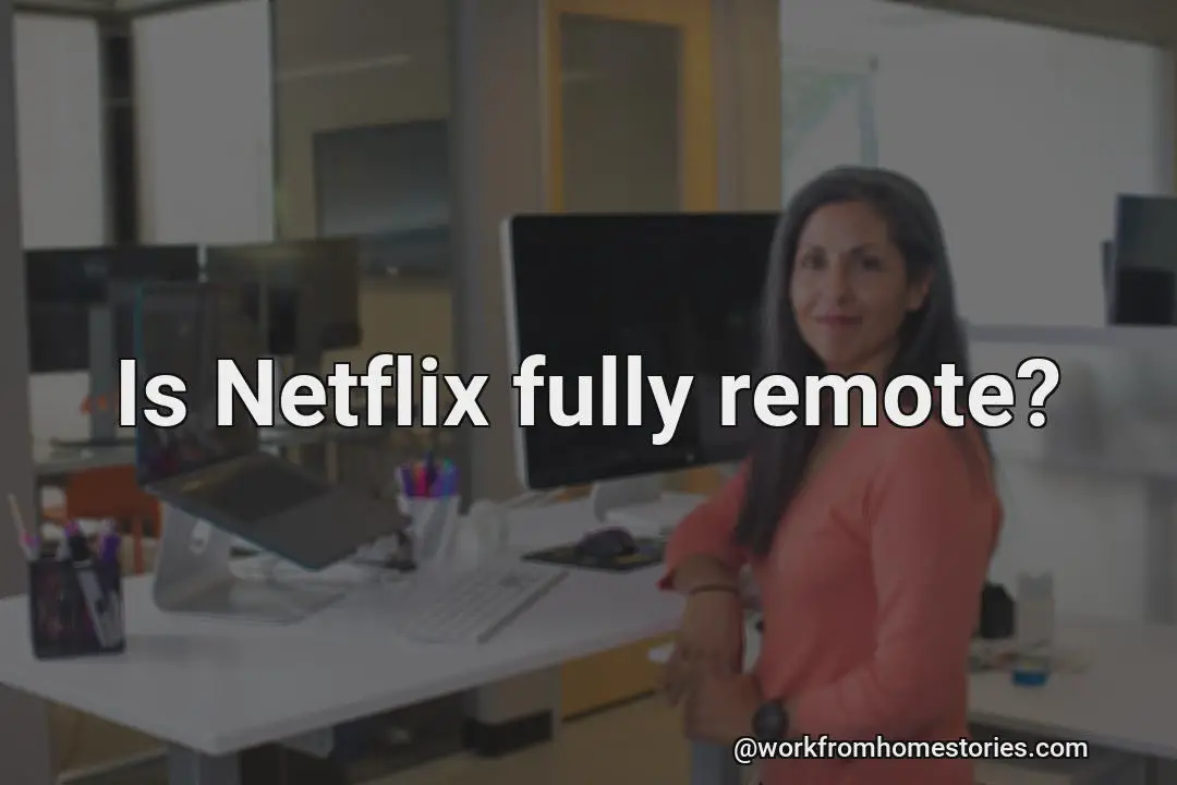 Is netflix remote for home use?