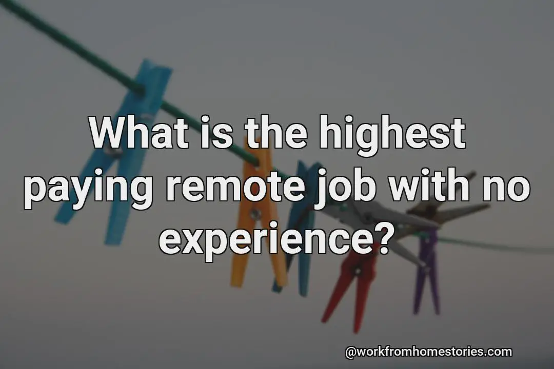 What’s the highest paid remote job with no experience?