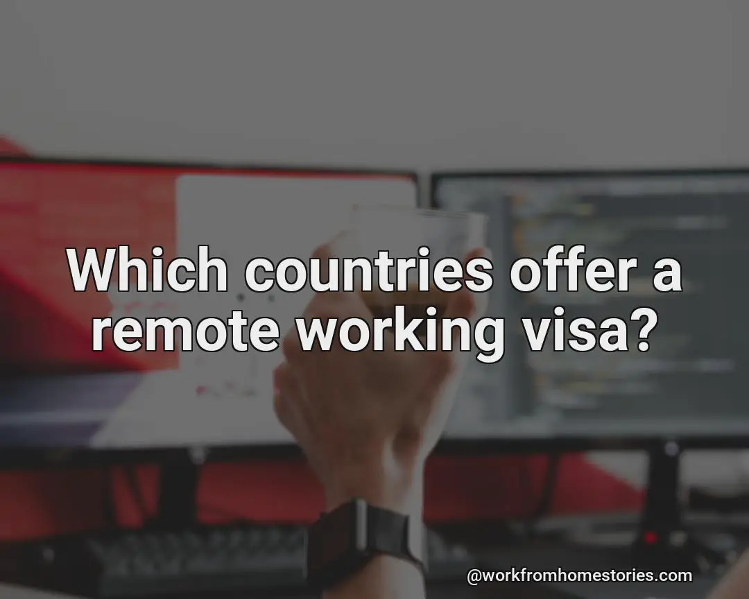 Which countries in the world provide a remote working visa for job seekers?