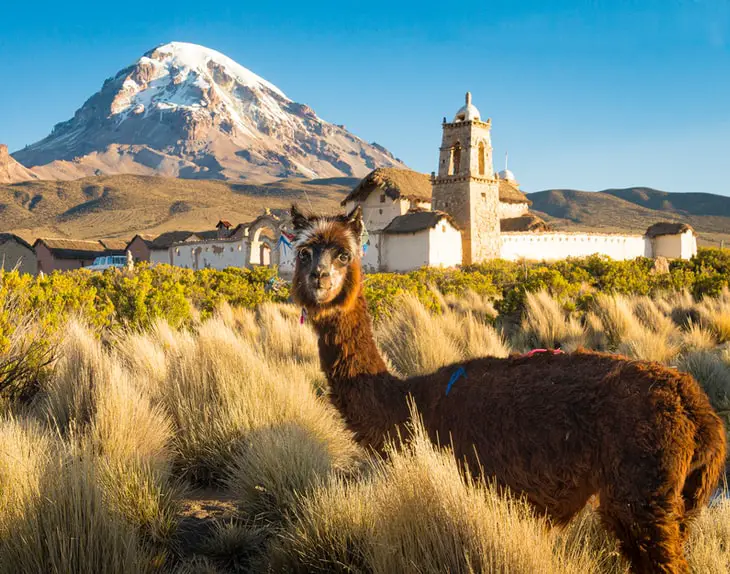 Get a visa for remote work in Bolivia