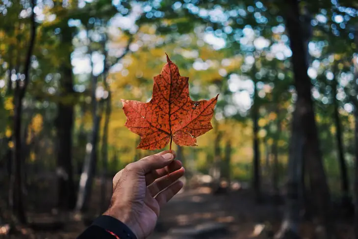 Solicitar un visado para trabajar a distancia en Canadá