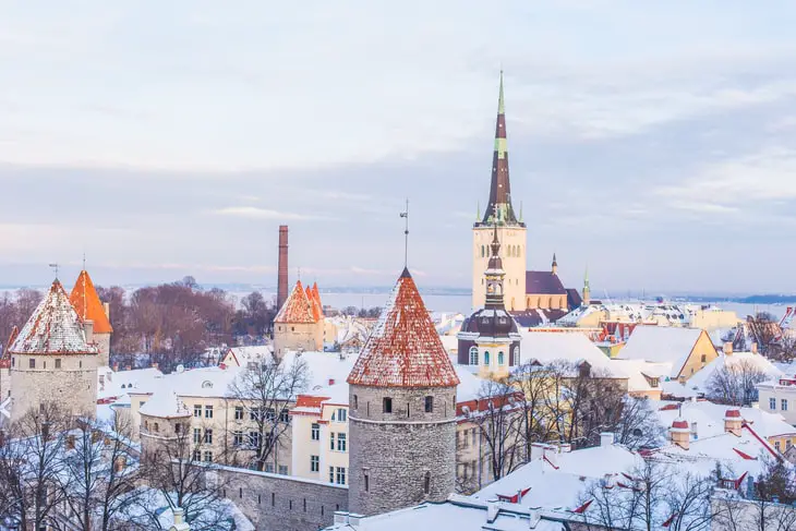 The Digital Nomad’s Guide to Estonia: Visa Application